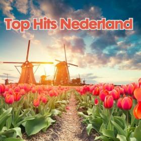 Various Artists - Top Hits Nederland (2024) Mp3 320kbps [PMEDIA] ⭐️