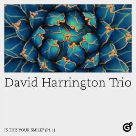 David Harrington Trio - Is This Your Smile  (Pt  1) (2024) [24Bit-96kHz] FLAC [PMEDIA] ⭐️