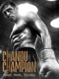 Chandu Champion (2024) Hindi 1080p AMZN WEB-DL DDP 5.1 x265 HEVC ESub -PrimeFix [ProtonMovies]