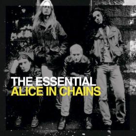 Alice In Chains - The Essential Alice In Chains (2006) [FLAC] 88