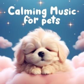 Various Artists - Calming Music for Pets (2024) Mp3 320kbps [PMEDIA] ⭐️