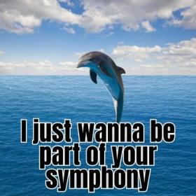 Various Artists - I just wanna be part of your symphony (2024) Mp3 320kbps [PMEDIA] ⭐️