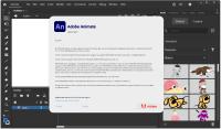 Adobe Animate 2024 v24.0.5.40 (x64) Multilingual Pre-Activated