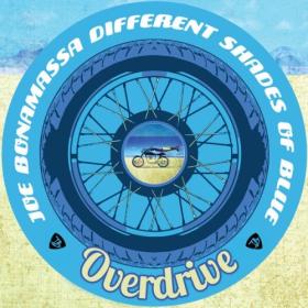 Joe Bonamassa - Different Shades Of Blue (Overdrive) (2024) [24Bit-44.1kHz] FLAC [PMEDIA] ⭐️