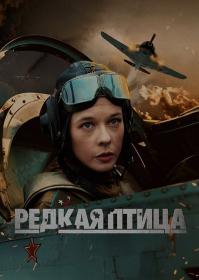 Redkaya ptica S01 2024 WEB-DL 1080p